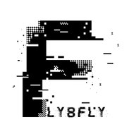 fly8fly
