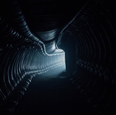 FREE MOVIE DOWNLOAD