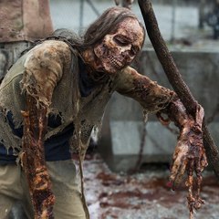 THE Walking Dead Full Season
