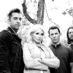 Animal Kingdom Episode #2018