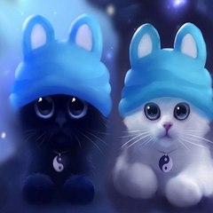 entertaiment