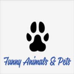 Funny Animals & Pets