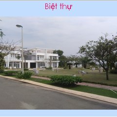 Ngọc Tùng