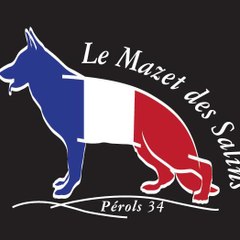 Le Mazet des Salins