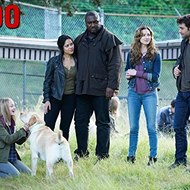 Zoo Season 3   Watch CBS Full Online