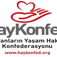 HayKonfed TV