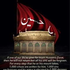 hazara tv