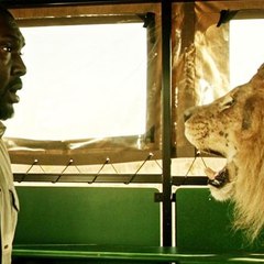 Zoo Season 3 -- "Watch Online"