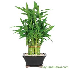 Short Video Game VLTK