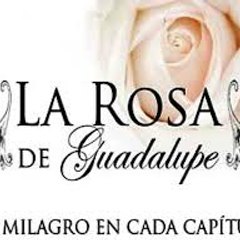 La Rosa de Guadalupe