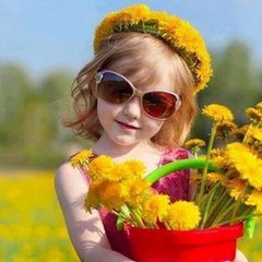 Hindi Shayari