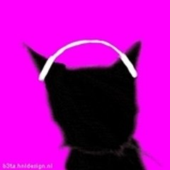 CrazyCat_1412