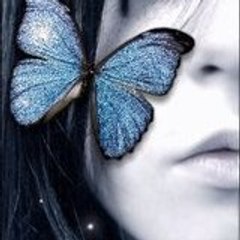 kikipapillon