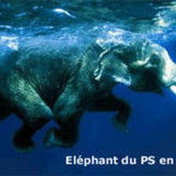 vévé
