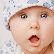 Babies and Animals Funny Videos