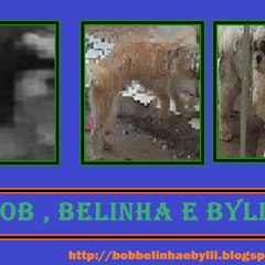 Bob Belinha Billy