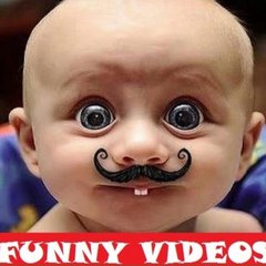 Funny Videos