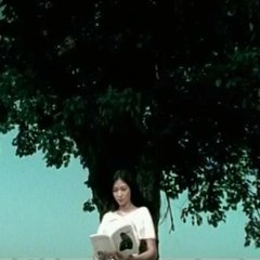 Celest Cheung
