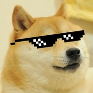 Doge Gamer 2015