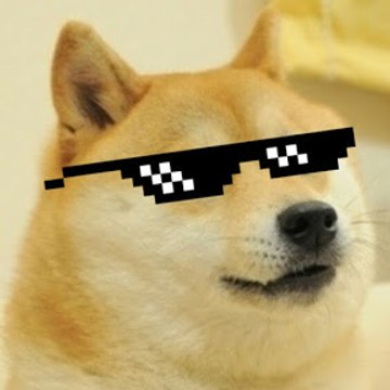 Doge Gamer 2015