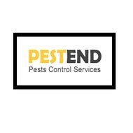 Pest End