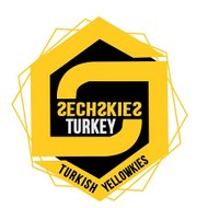 SechskiesTurkey
