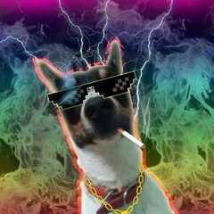 WOLFGANG MASTER