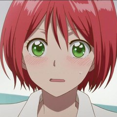 Anime.net