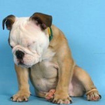 Jean Pierre blaminthor