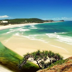 Virgin Islands This Week