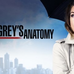 Grey's Anatomy Season (14) - NEW SERIES