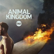 Animal Kingdom (Season 2) Full HD