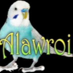 طيور البادجي