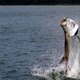 LunkersTV