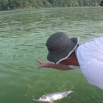 Milliken Fishing
