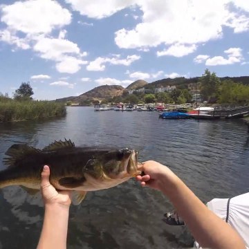 Fishing with Rod