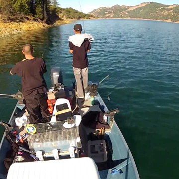 The Fish Whisperer