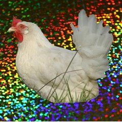 HorrorHuhn