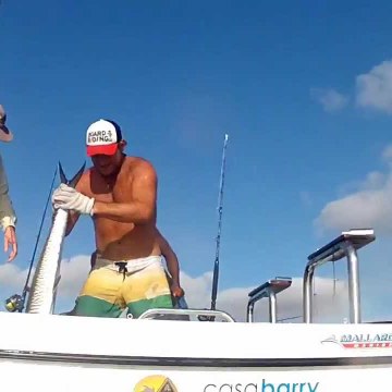 FishAholic Fishing