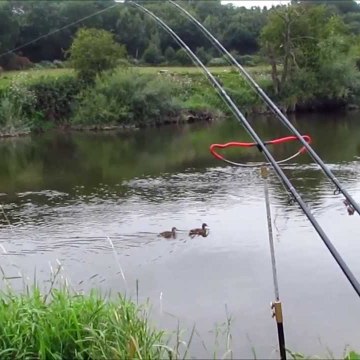 MorningTide Fishing