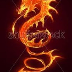 Dragon768