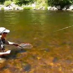 On The Bank Angling