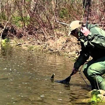 East Coast Freshwater Fishing