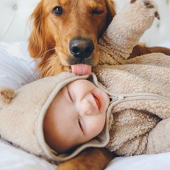 Funny Babies & Pets