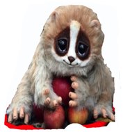 Animal, Ghost and People