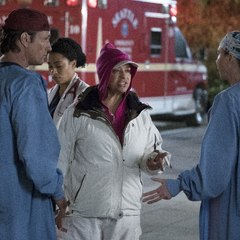 Grey's Anatomy Season 14