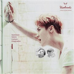 Hanbambi VN