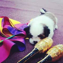 Best of Rhythmic Gymnastics