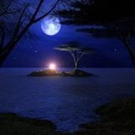 ...Colorado ( Taghjijt ) Nuggets !