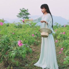 Li Ziqi 李子柒